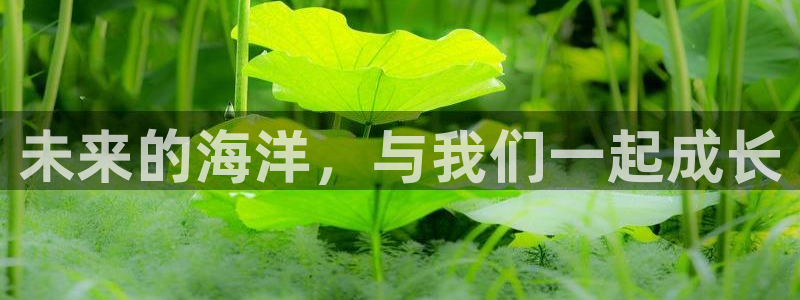 海角强社区：未来的海洋，与我们一起成长