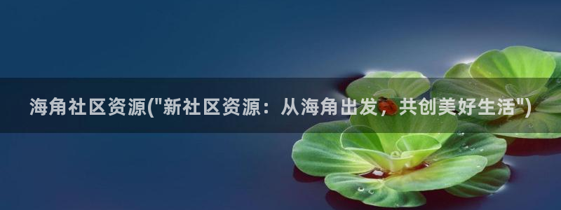 海角社区任务：海角社区资源(\