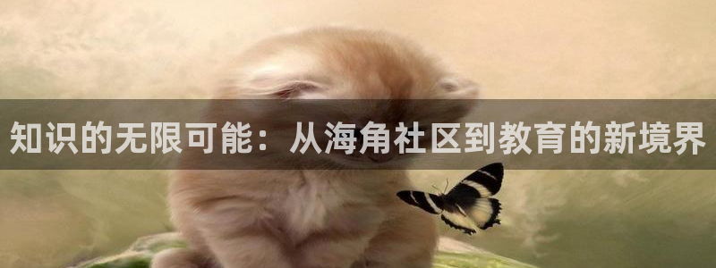 海角社区国产在线观看：知识的无限可能：从海角社区到教育的新境界