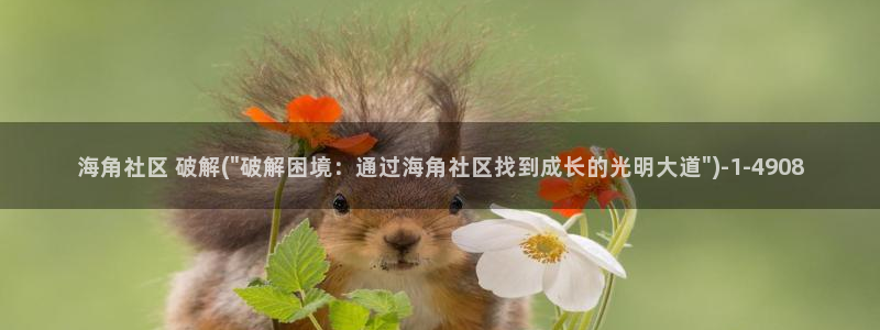 海角社区的邮箱怎么填：海角社区 破解(\