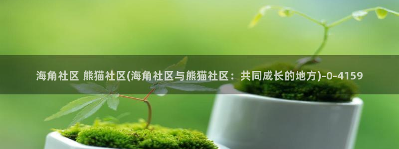 成都海角社区13号：海角社区 熊猫社区(海角社区与熊猫社区：共同成长的地方)
