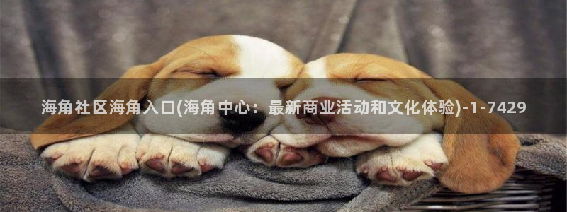 海角社区是软件还是网页